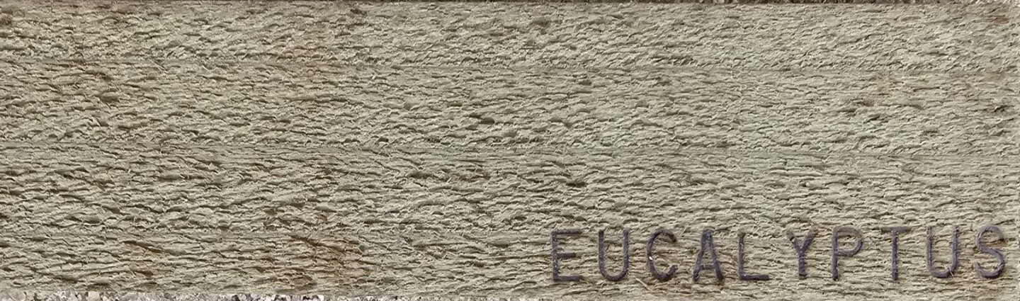 EUCALYPTUS SEMI-SOLID