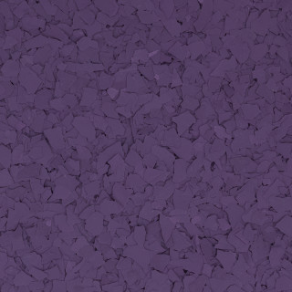 F5104 AFRICAN VIOLET
