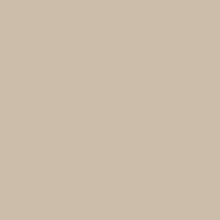Nevada Sand