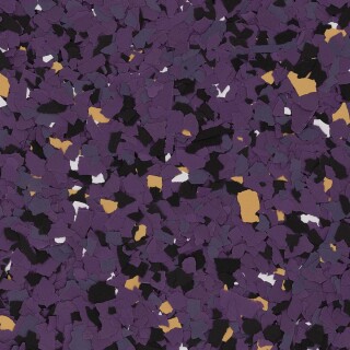 FB-246 CONQUER Insignia Sports Flakes