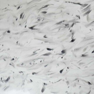 PB-102_greatwhite&caviar&dolphin_opt