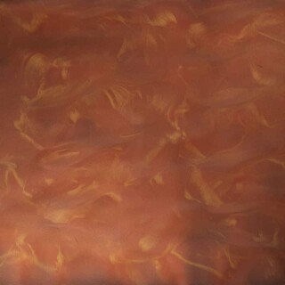 PB-109_starfish&coral_opt