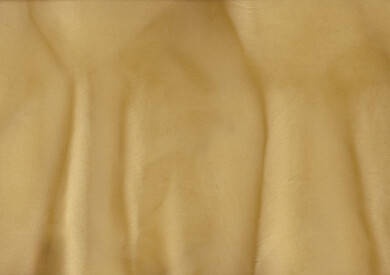 PALAPA (Gulf Green) P1120 Metallic Pigment QD