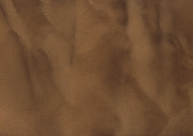 SANDAL (Dark Chocolate) P1170 Metallic Pigment QD