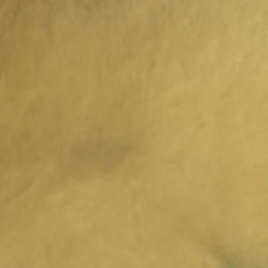 Sandbar Metallic Pigment