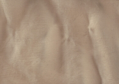 GUAVA (Wilderness) P1105 Metallic Pigment