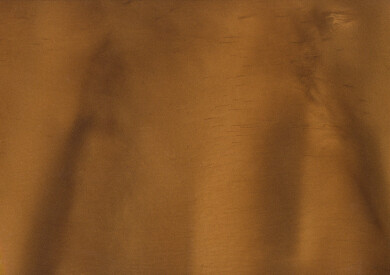 DRIFTWOOD P1135 Metallic Pigment