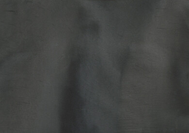 WHALE (Black Onyx) P1040 Metallic Pigment QD