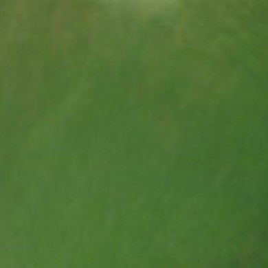 Avacado Metallic Pigment