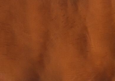 GINGER (Burnt Orange) P1340 Metallic Pigment QD