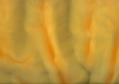 PAPAYA (Sunny Day) P1420 Metallic Pigment