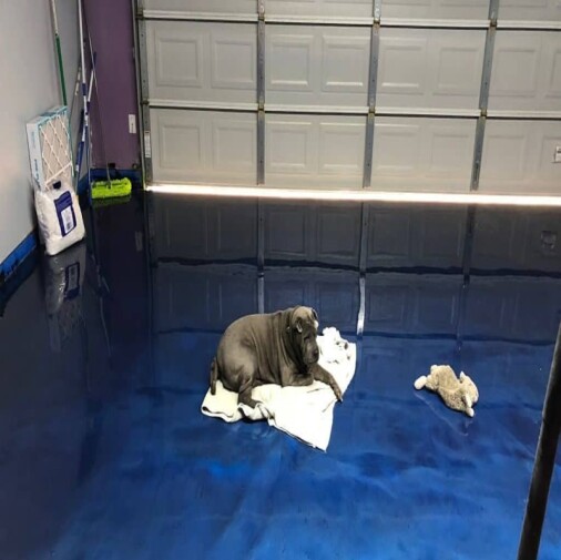 HyperREZ Epoxy Garage - Black Epoxy as Primer and Clear as Basecoat with Metallic