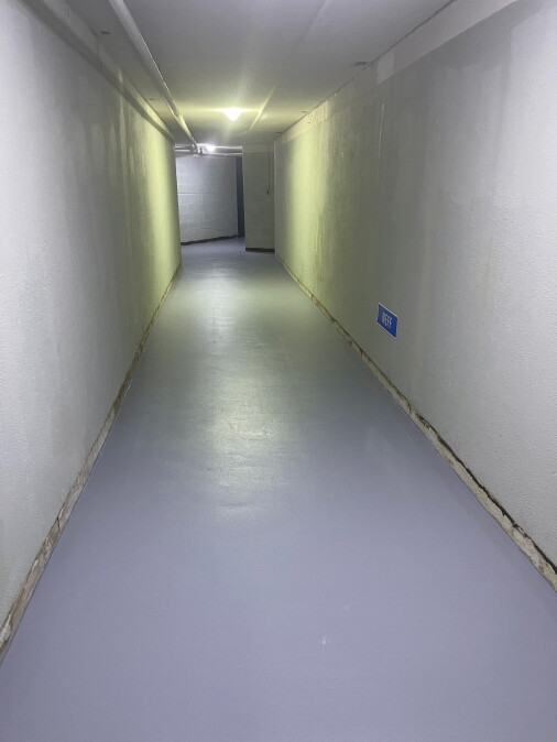 PerfectPrimer Basecoat and PaintPlus Topcoat