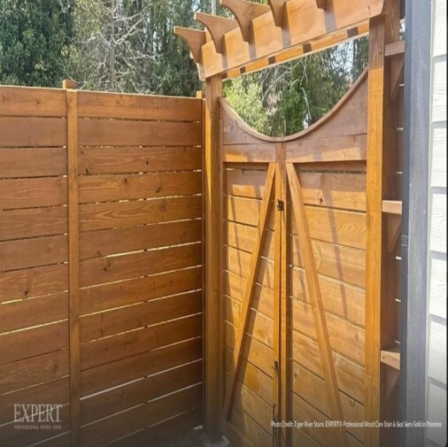 EXPERT Semi-Solid Stain Palomino