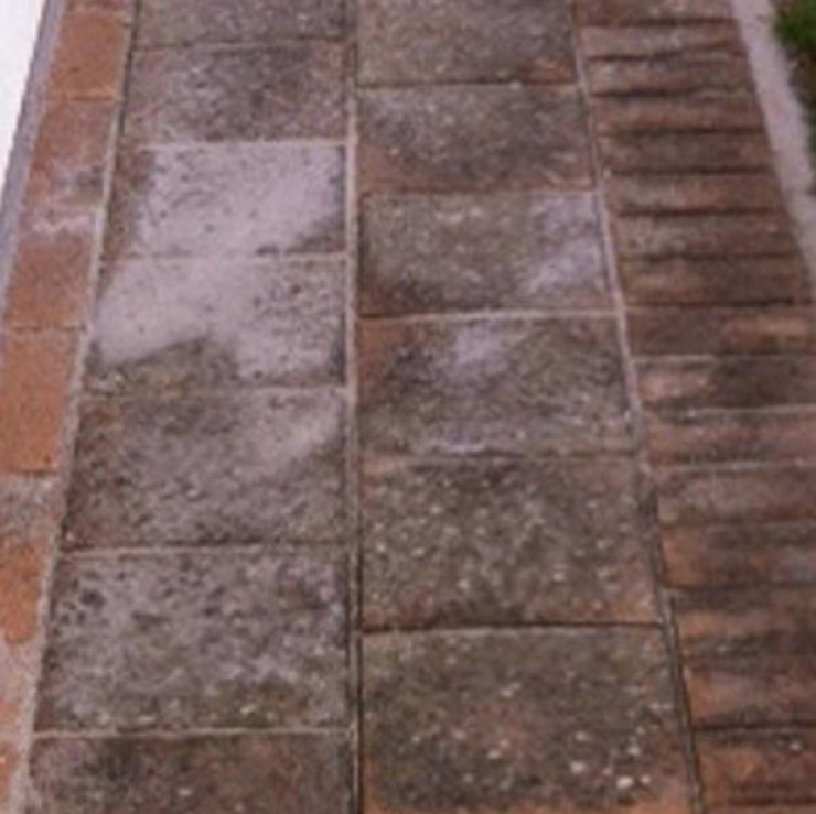 World's Best Detergent Cleaner before Pavers