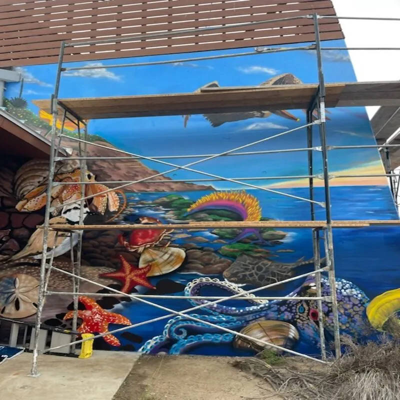 800 size MuralGuard Anti-Graffiti