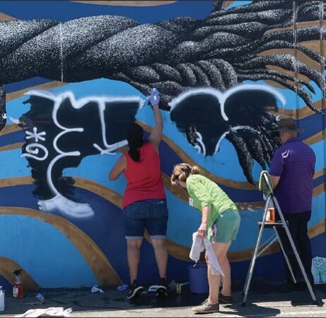 VandlClean VandlClean