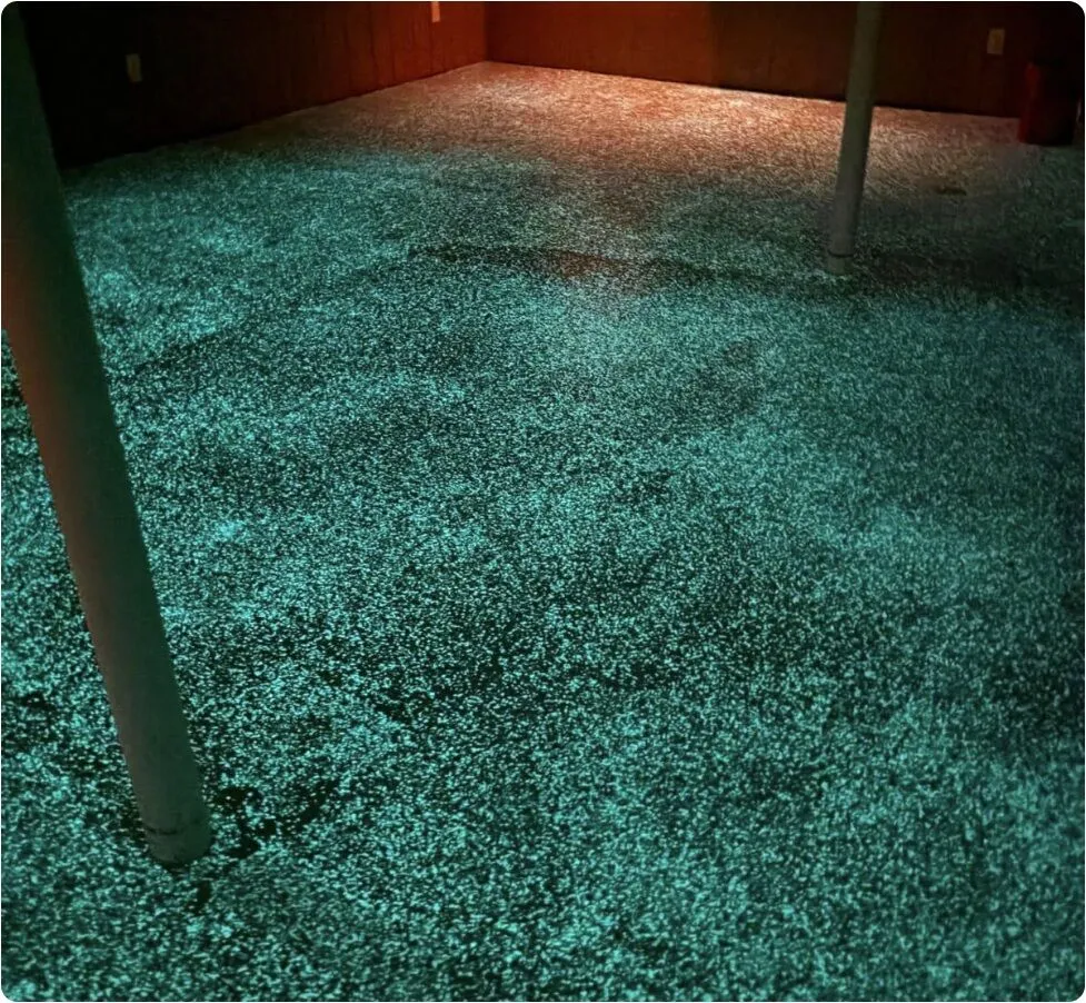 Glow FLakes Customer Picture Glow fLakes