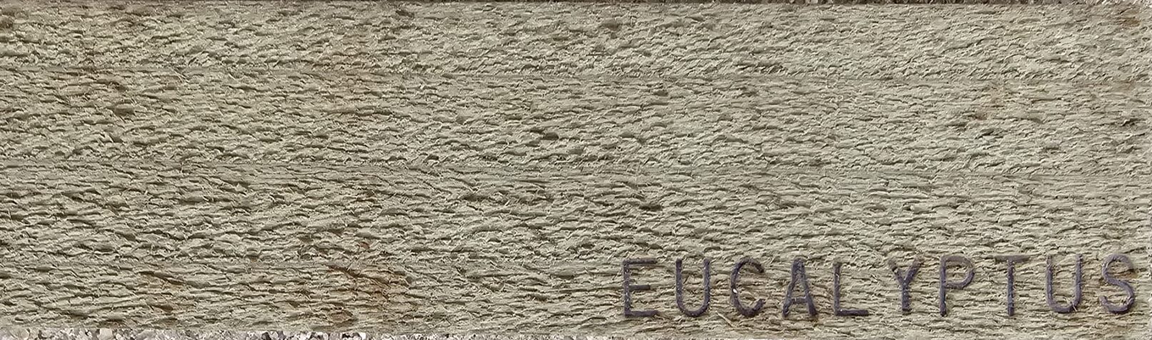 EUCALYPTUS SEMI-SOLID