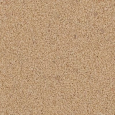 Q1220-40S (Beige)