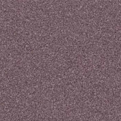 Q1810-40S (Plum)