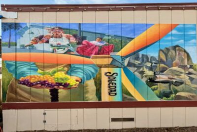 MuralGuard Anti-=Graffiti 