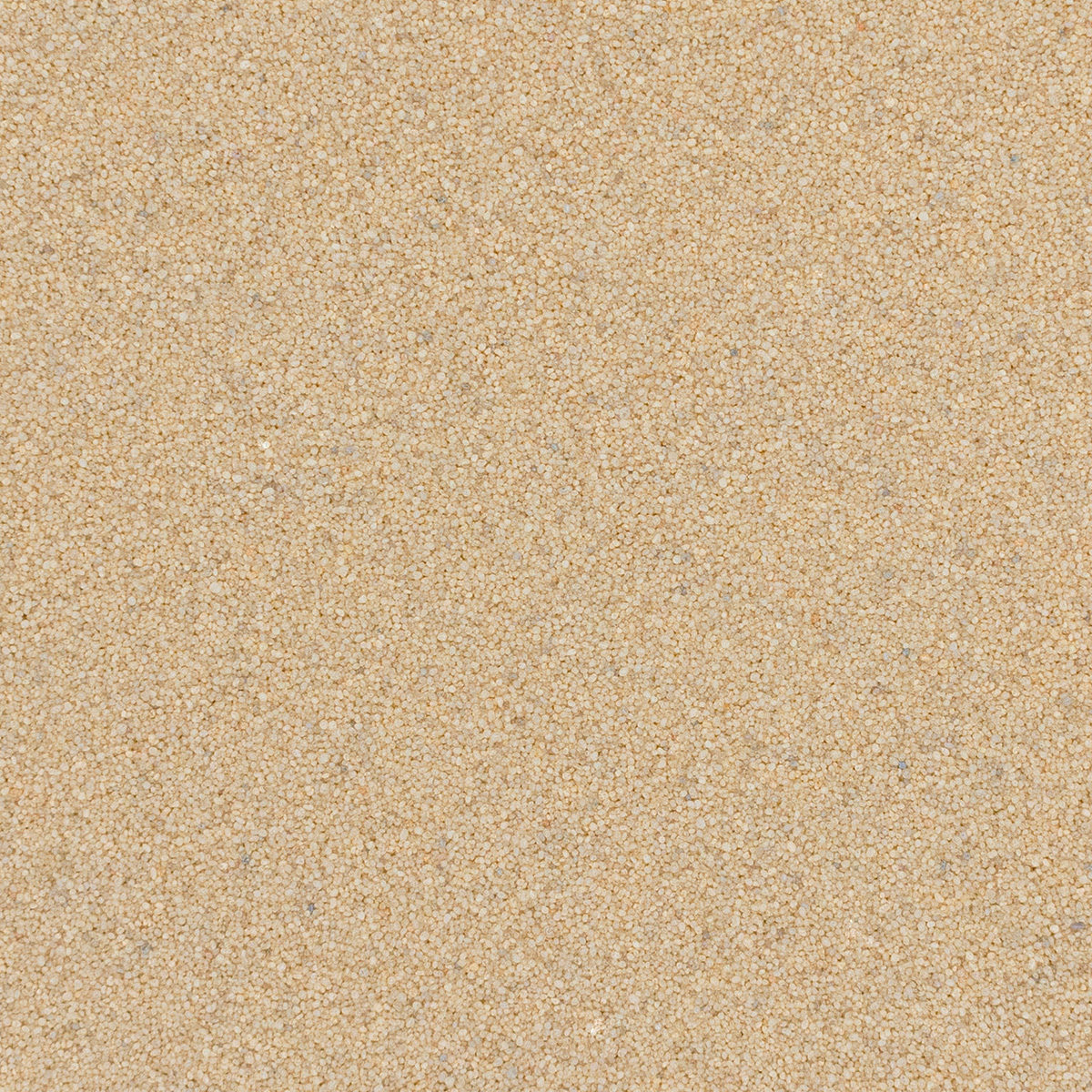 Q1210 Ivory Quartz Solid Color 40S Grade