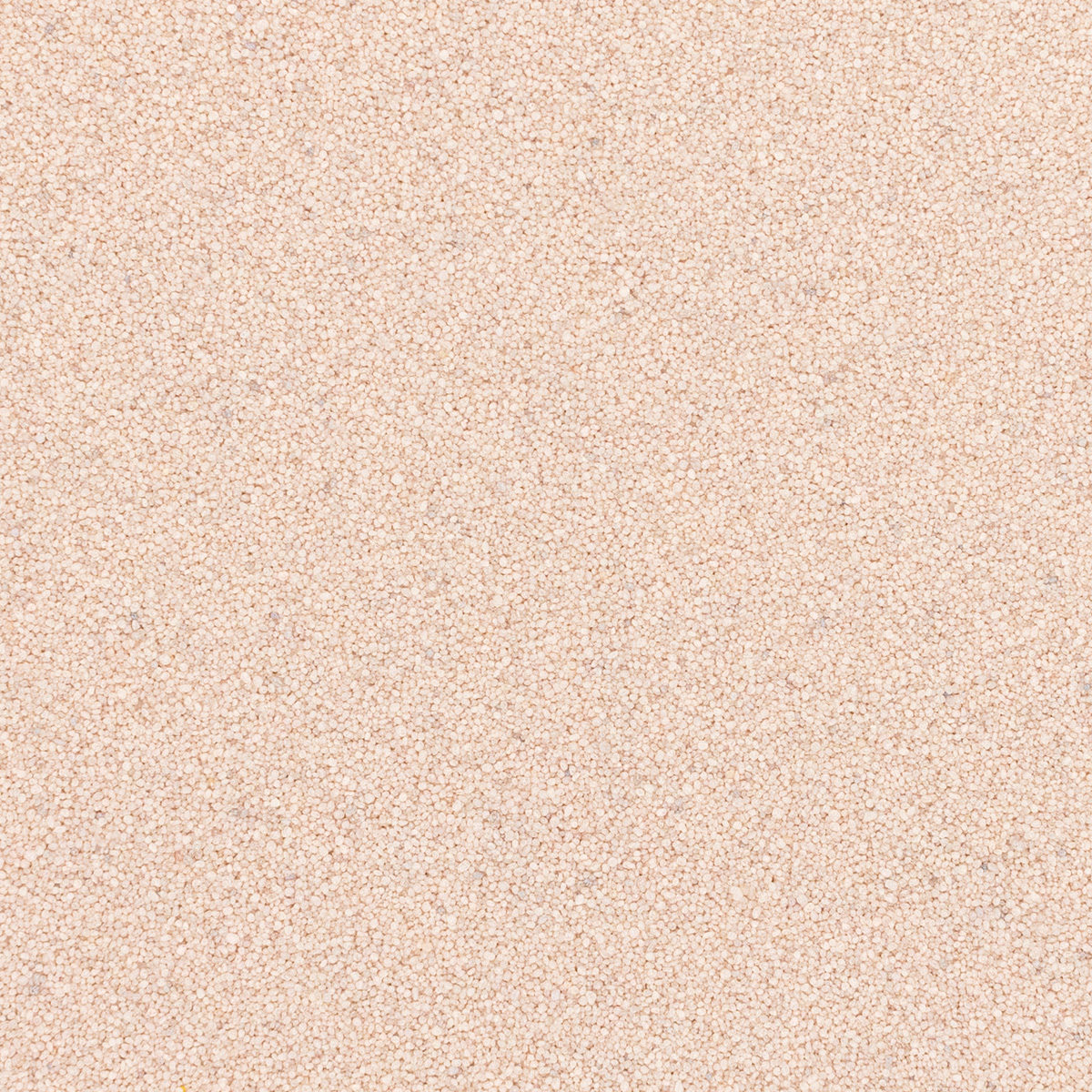 Q1630 Blush Quartz Solid Color 40S Grade