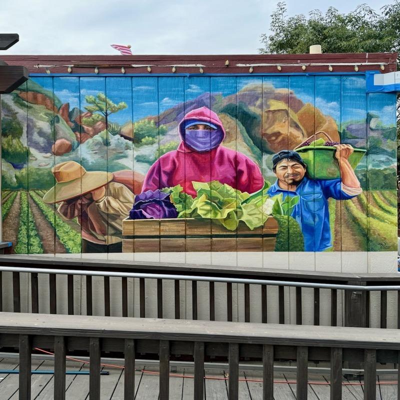 MuralGuard Anti-Graffiti Coating - Satin Finish