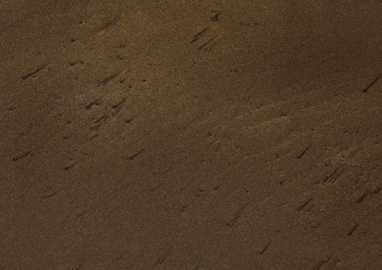 QD COFFEE Metallic Pigment