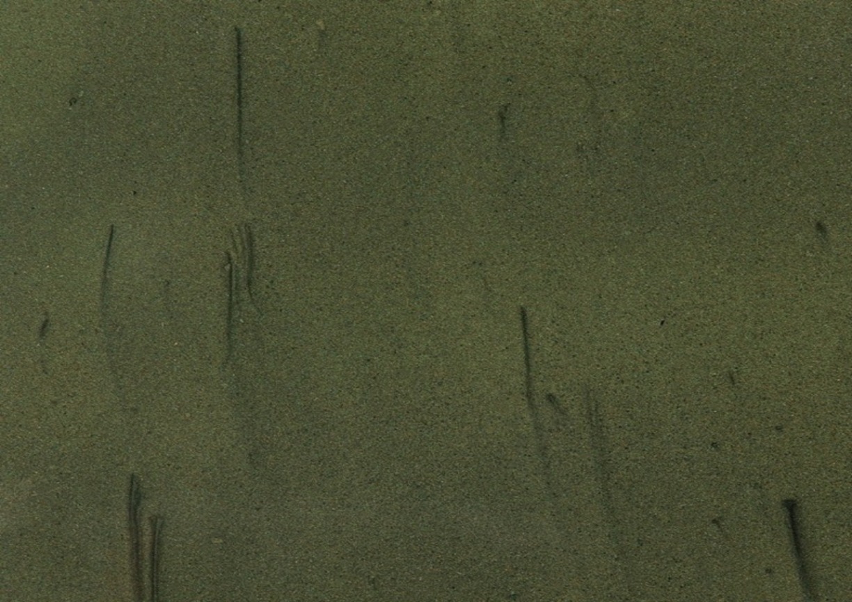 QD DEEP GREEN Metallic Pigment