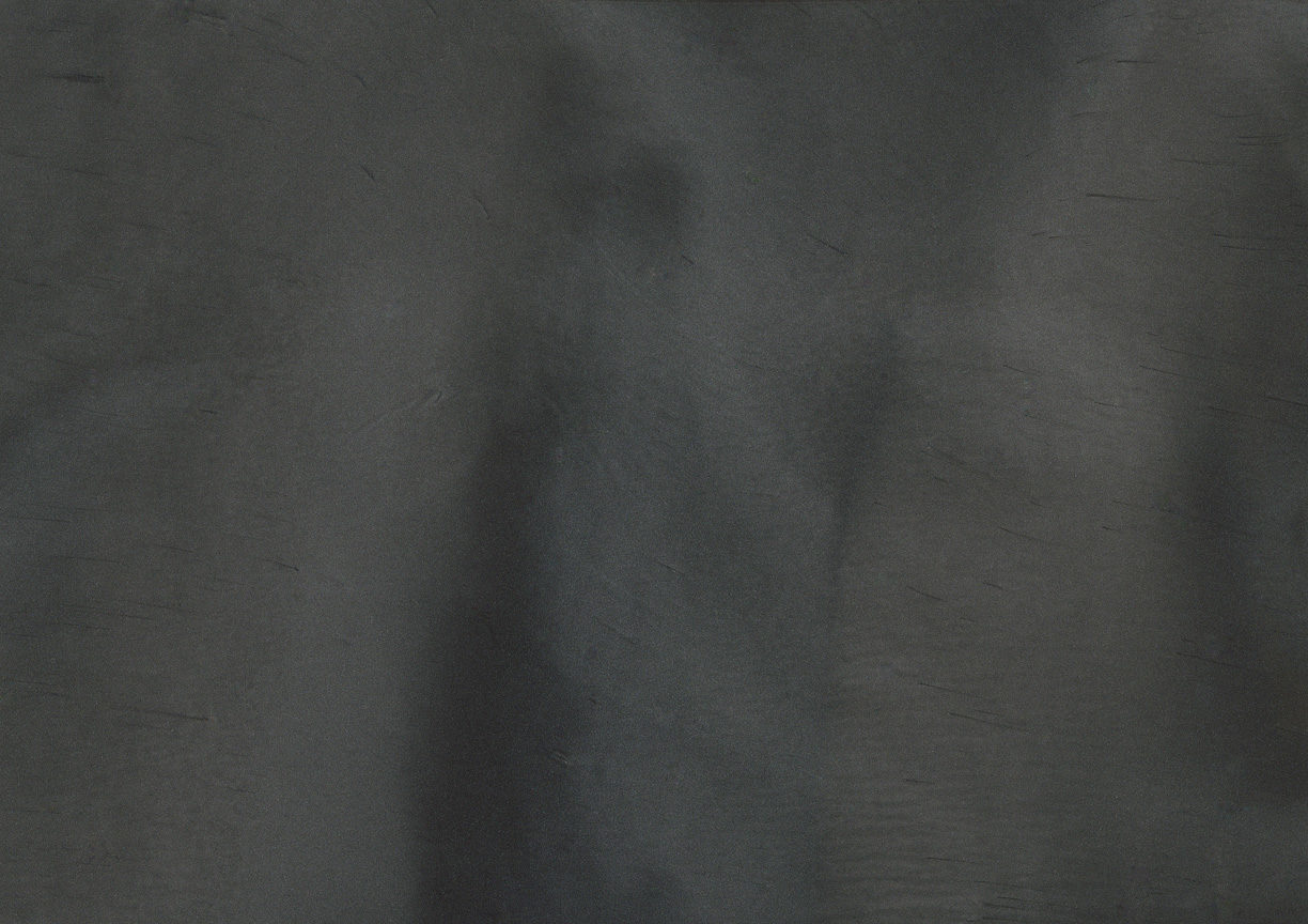 WHALE P1040 Metallic Pigment