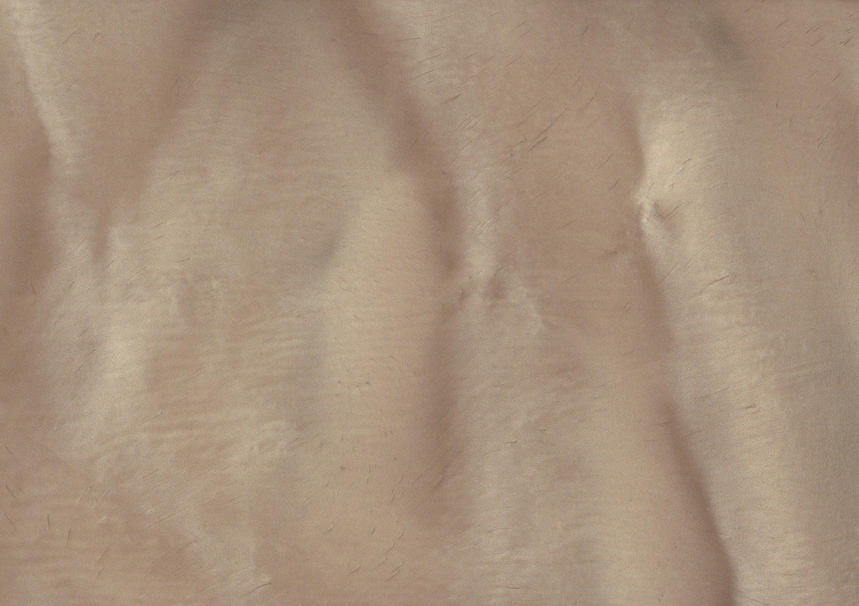 GUAVA P1105 Metallic Pigment