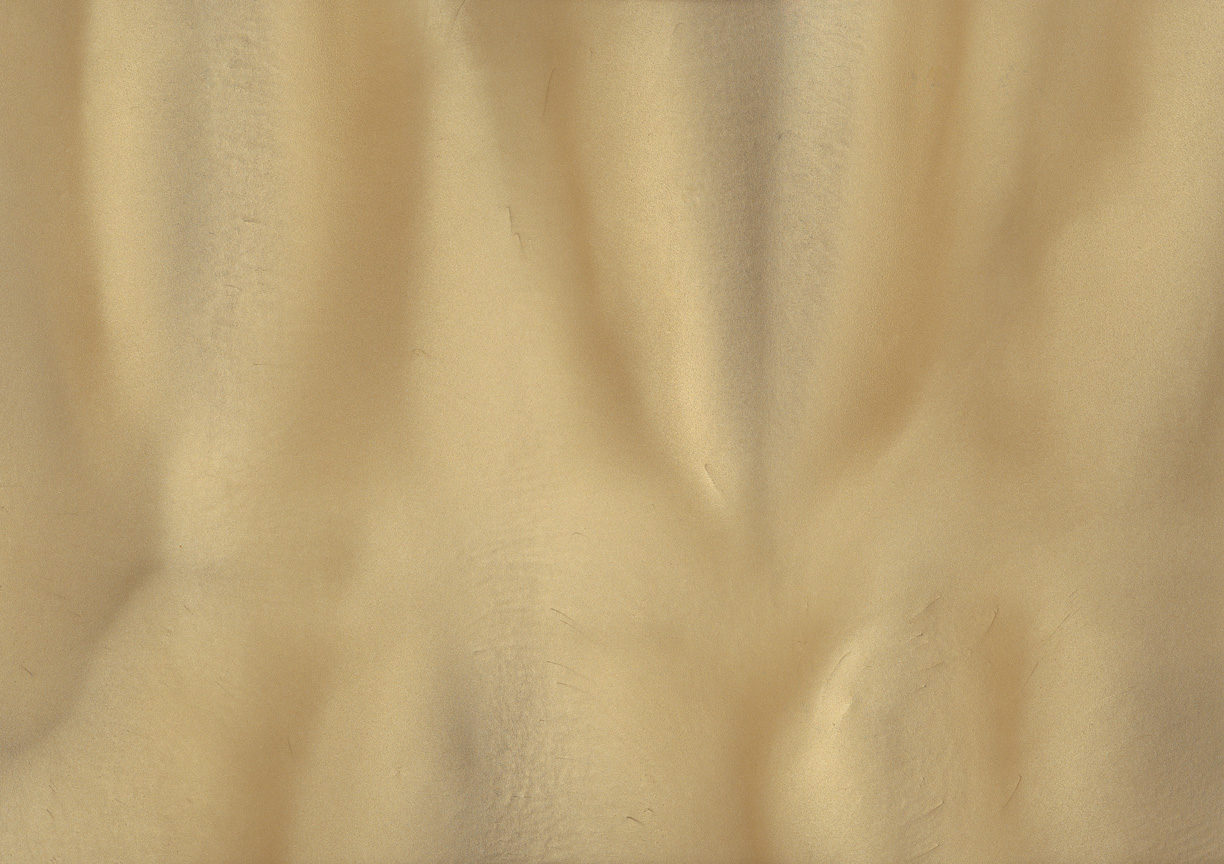 SANDBAR P1115 Metallic Pigment