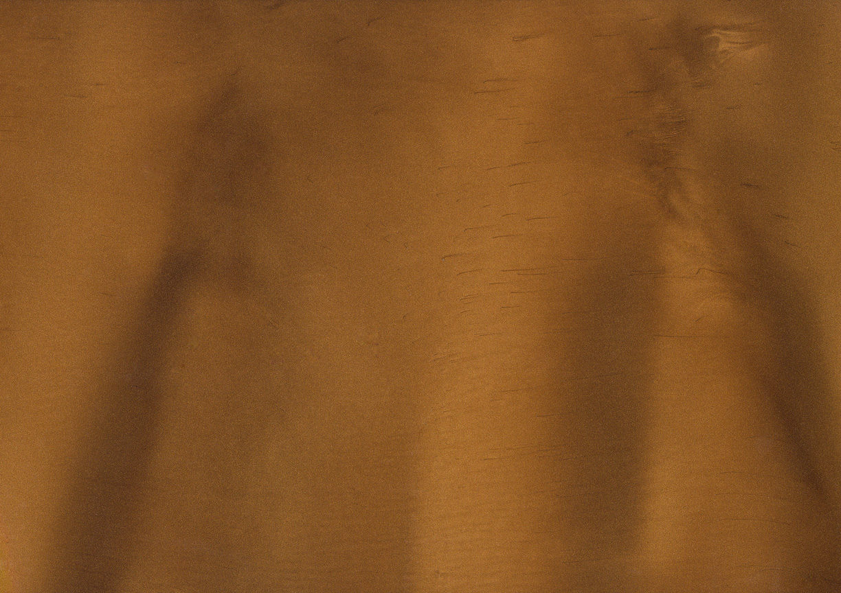 DRIFTWOOD P1135 Metallic Pigment