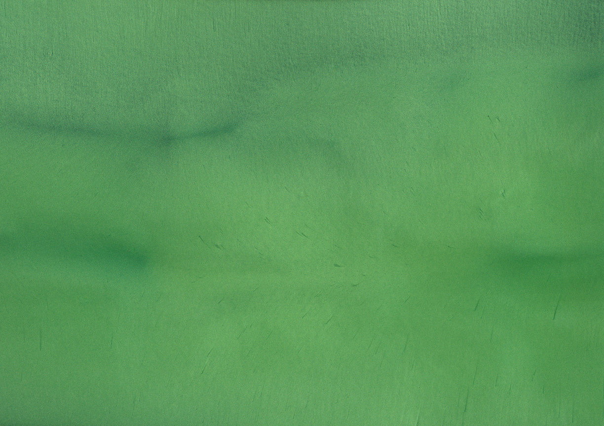 AVOCADO P1520 Metallic Pigment