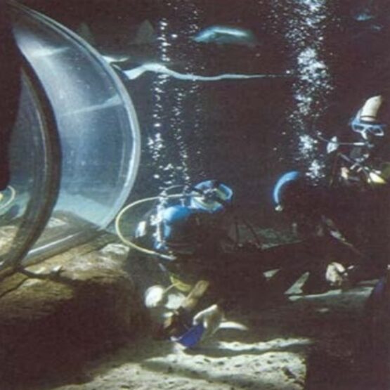 Bio-Dur 561 Underwater Epoxy